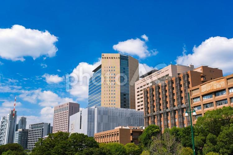 東京医科歯科大学現東京科学大学歯学分野QS世界大学ランキング世界第4位学術的評判スコア世界第1位